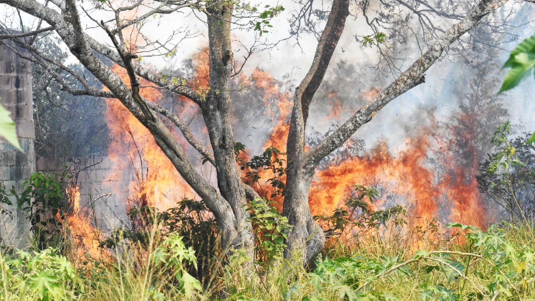 La mayoría de los incendios fueron derivados por quemas de basura en espacios clandestinos La mayoría de los incendios fueron derivados por quemas de basura en espacios clandestinos