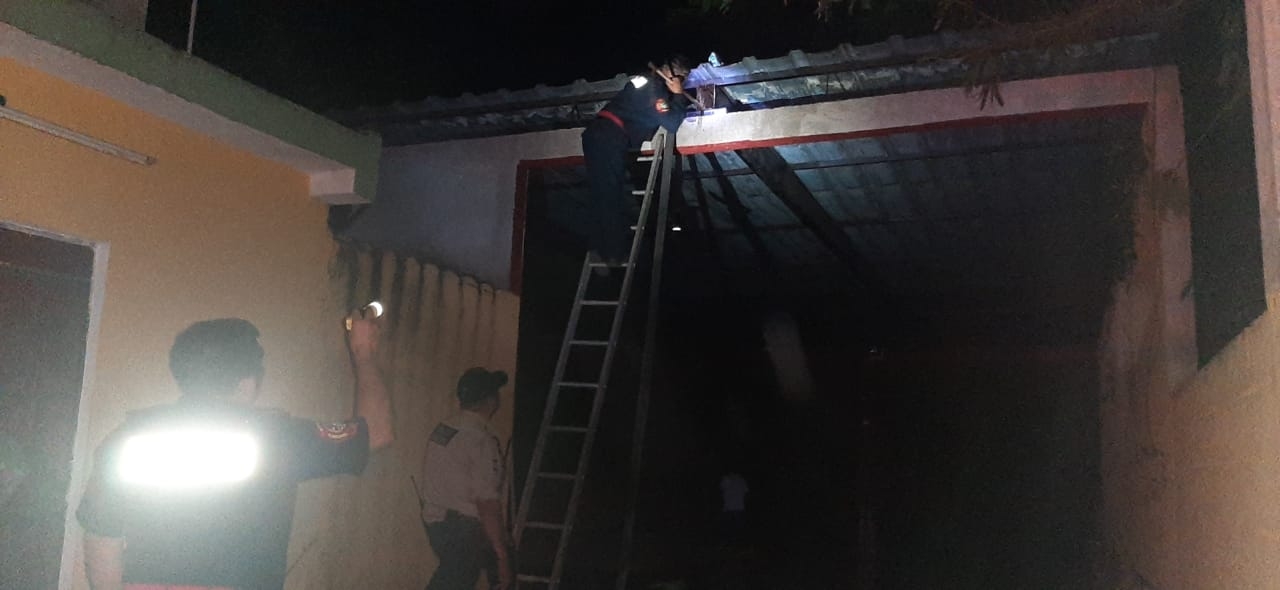 Las abejas se encontraban en la terraza de su vivienda Las abejas se encontraban en la terraza de su vivienda