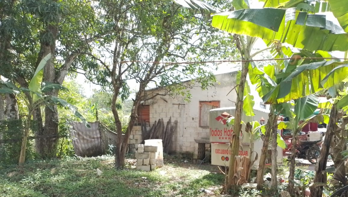 Los responsables entraron por la parte de atrás de la casa cuando la familia salio del lugar Los responsables entraron por la parte de atrás de la casa cuando la familia salio del lugar