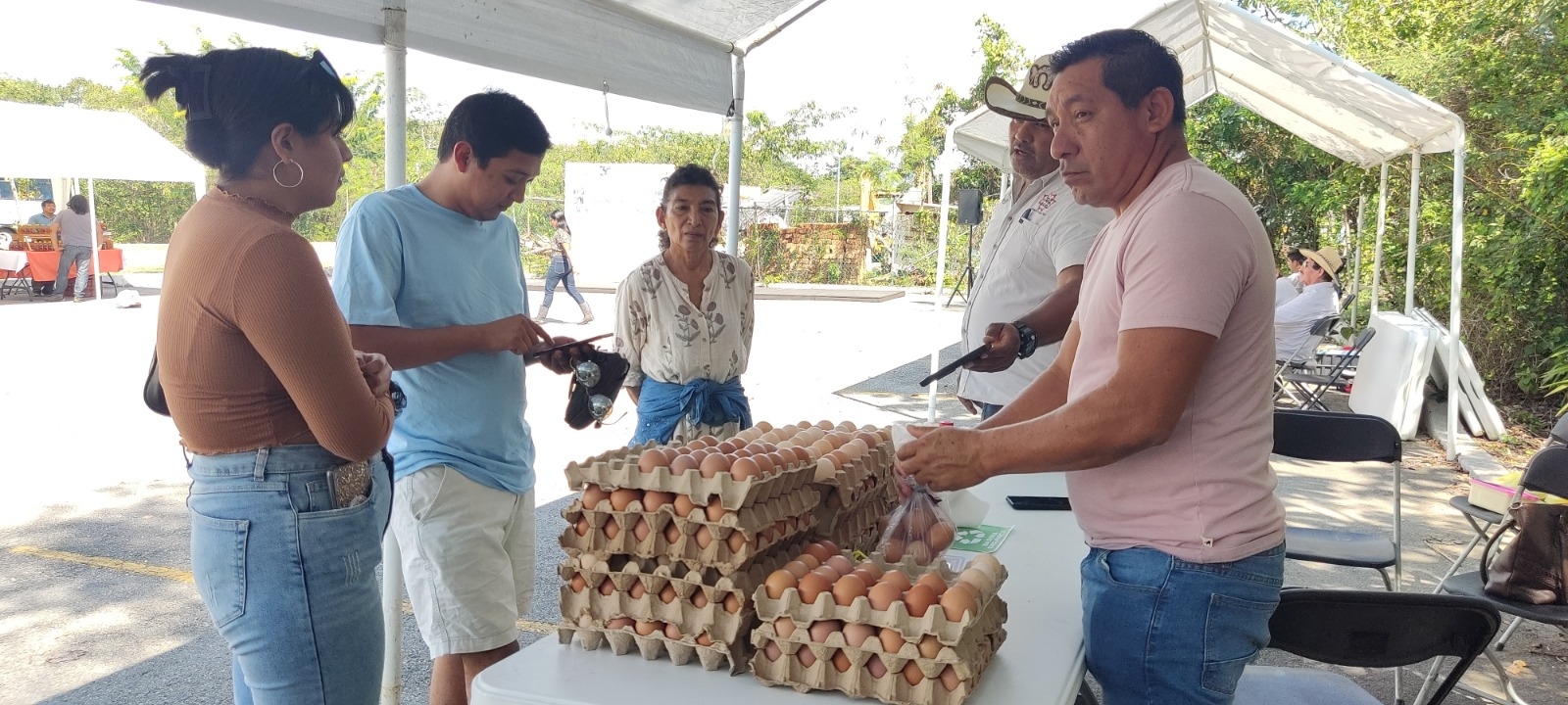 Monopolios como Bachoco manipulan el costo del huevo por la gripe aviar que hay en Estados Unidos: productor playense