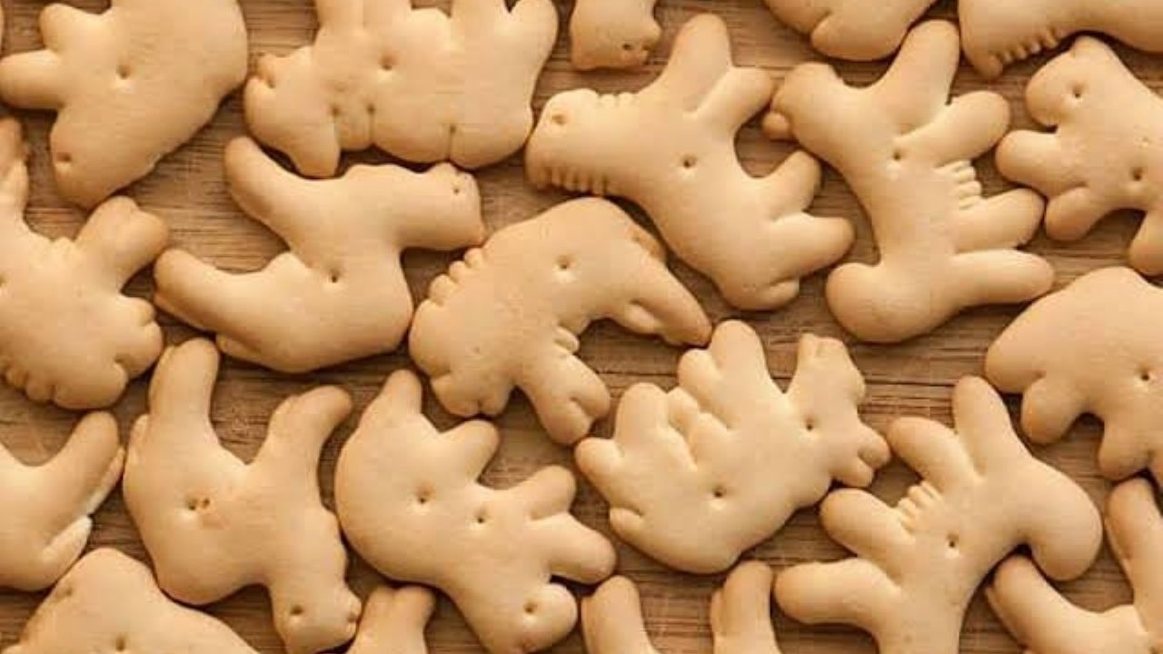 Hay pros y contras en las galletas de animalitos Hay pros y contras en las galletas de animalitos