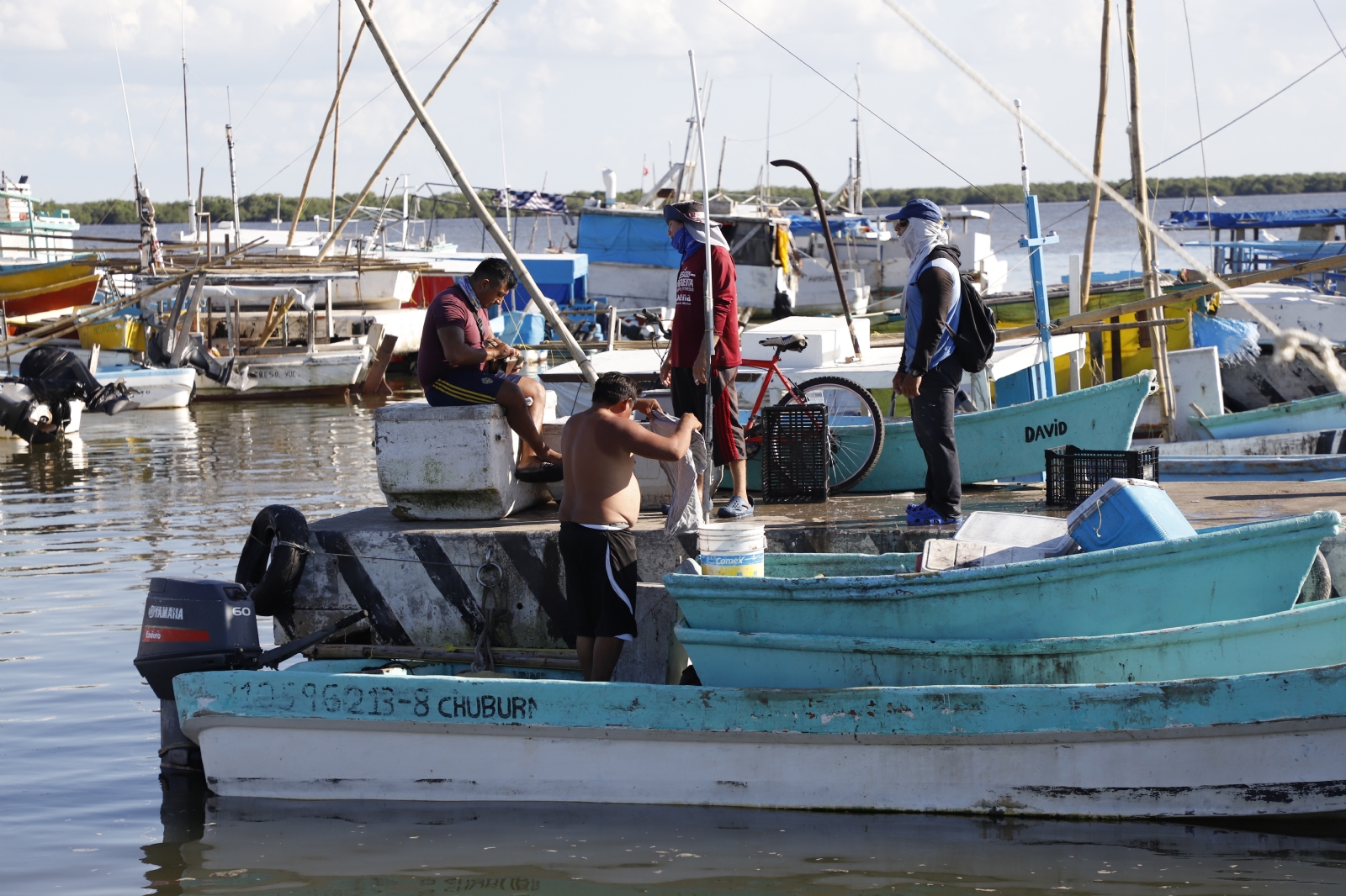 Debido al precio actual del kilo de la especie marina, que ronda los 850 pesos por kilo