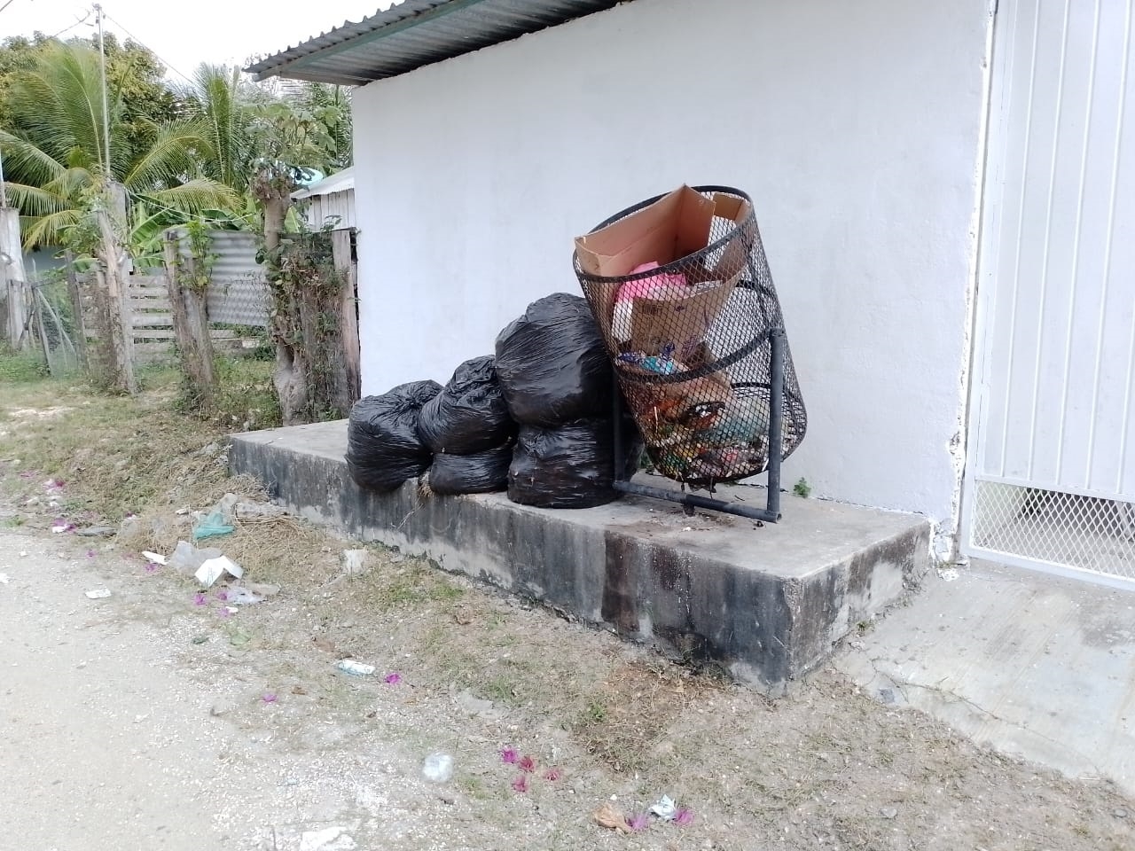 Las bolsas de basura se acumulan en Escárcega por la falta de servicio de basura Las bolsas de basura se acumulan en Escárcega por la falta de servicio de basura