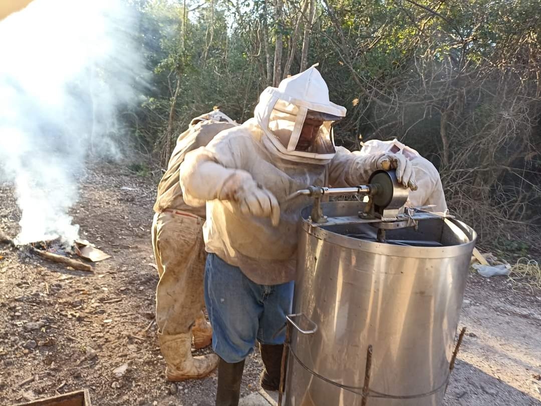 La mayoría de los intermediarios y centros de acopio pagan una miseria a los productores, pero luego ellos venden en dólares y obtienen buenas ganancias, mencionan Campesinos La mayoría de los intermediarios y centros de acopio pagan una miseria a los productores, pero luego ellos venden en dólares y obtienen buenas ganancias, mencionan Campesinos
