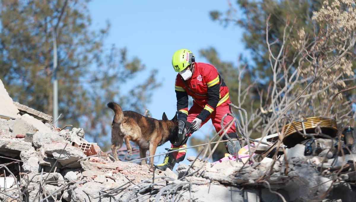 En Turquía se encuentra personal de la Sedena y de la Cruz Roja ayudando en las labores de rescate