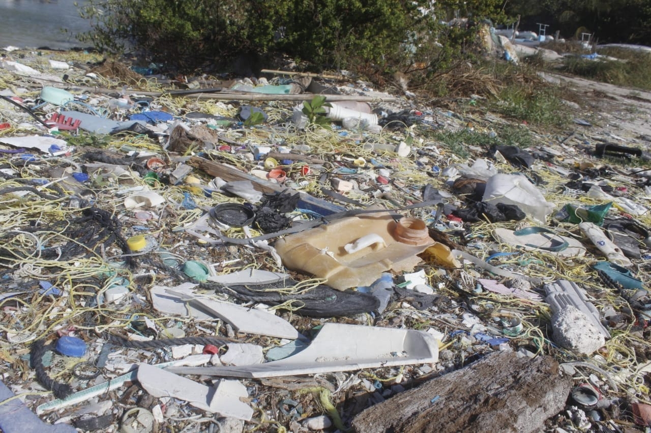 En la dársena de este sitio recala una gran cantidad de botellas de plástico y tapas, entre otros desperdicios