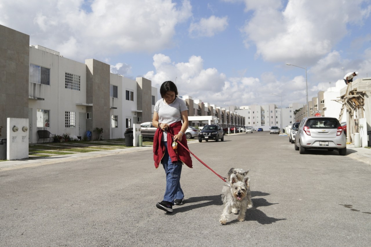 Aseguran que las autoridades deberán transparentar los recursos recaudado y destinarlos a campañas para los animales de la calle
