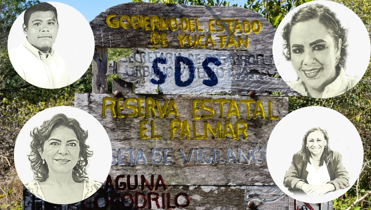 Autoridades de los tres niveles de Gobierno han solapado los daños a la flora y fauna de la zona costera en el Norponiente