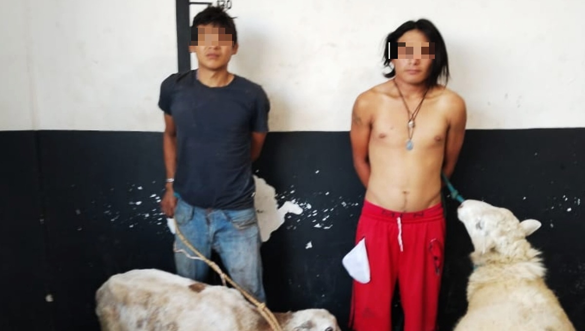 Los dos hombres fueron trasladados al Cuartel Morelos de Tizimín