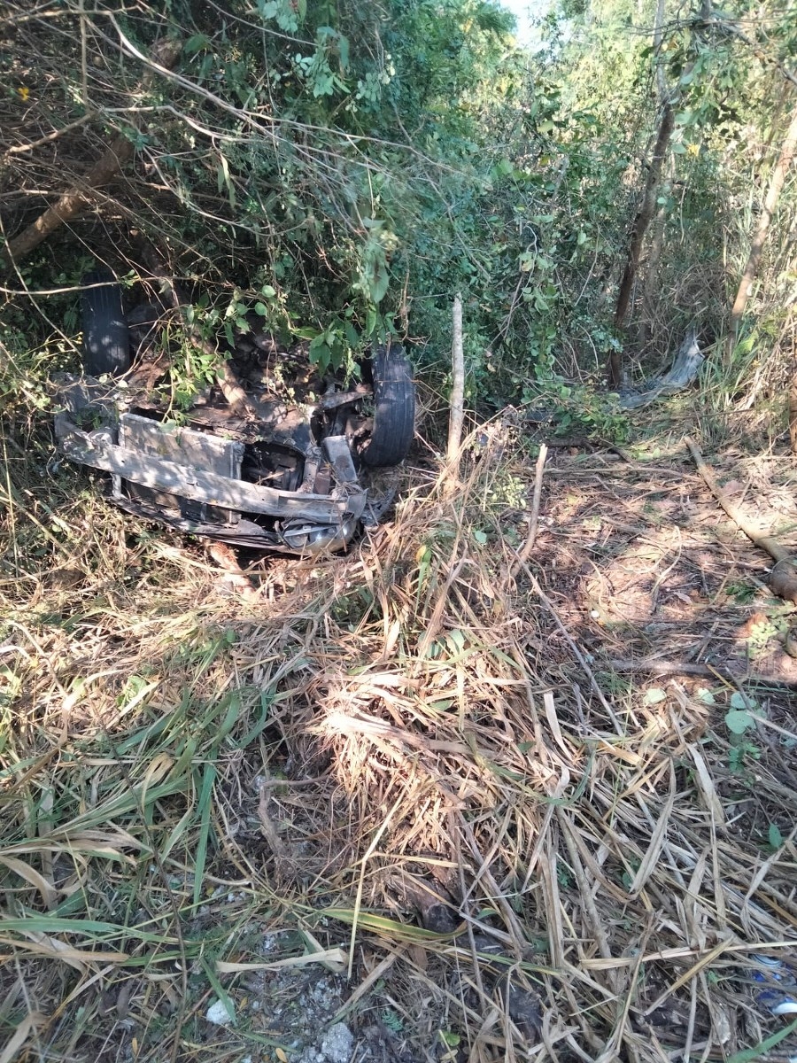 El auto acabó en la maleza con el conductor adentro