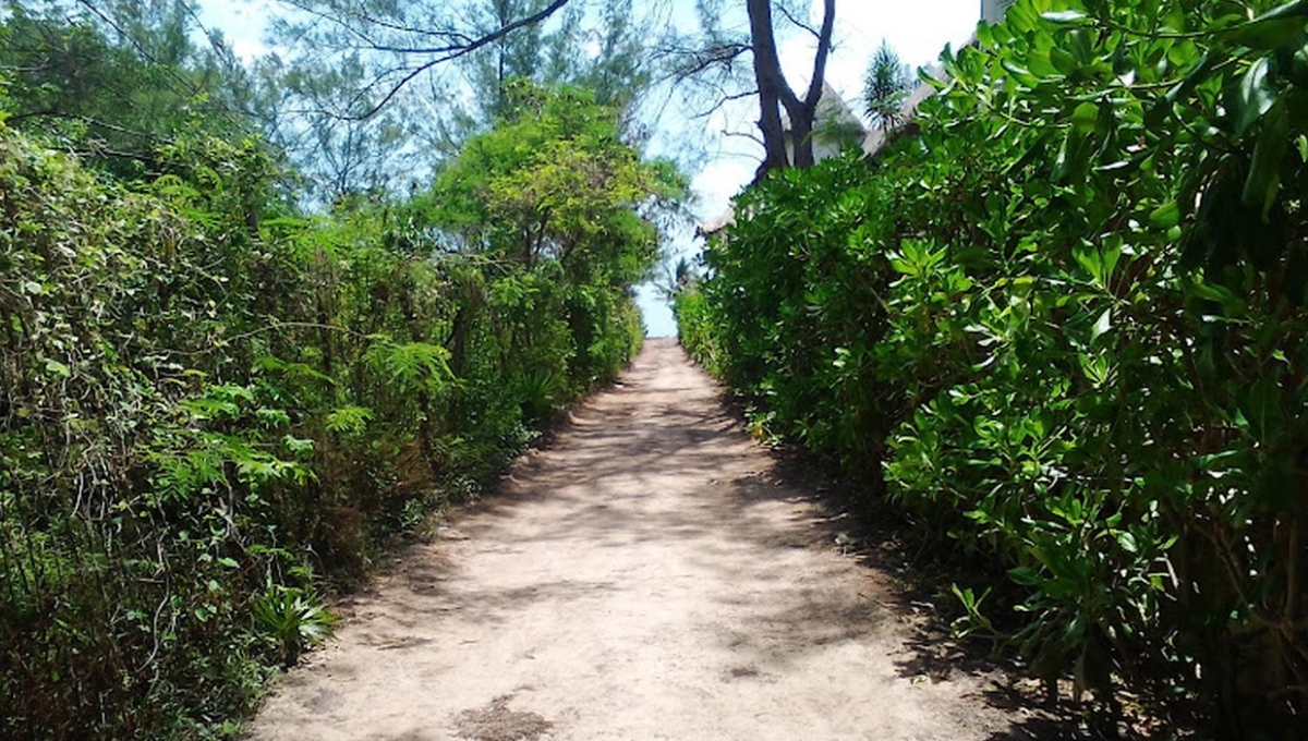 La Desarrolladora de la Riviera Maya sólo se ha dedicado al robo porque le ha cobrado a la gente por los lotes que no son de su propiedad La Desarrolladora de la Riviera Maya sólo se ha dedicado al robo porque le ha cobrado a la gente por los lotes que no son de su propiedad