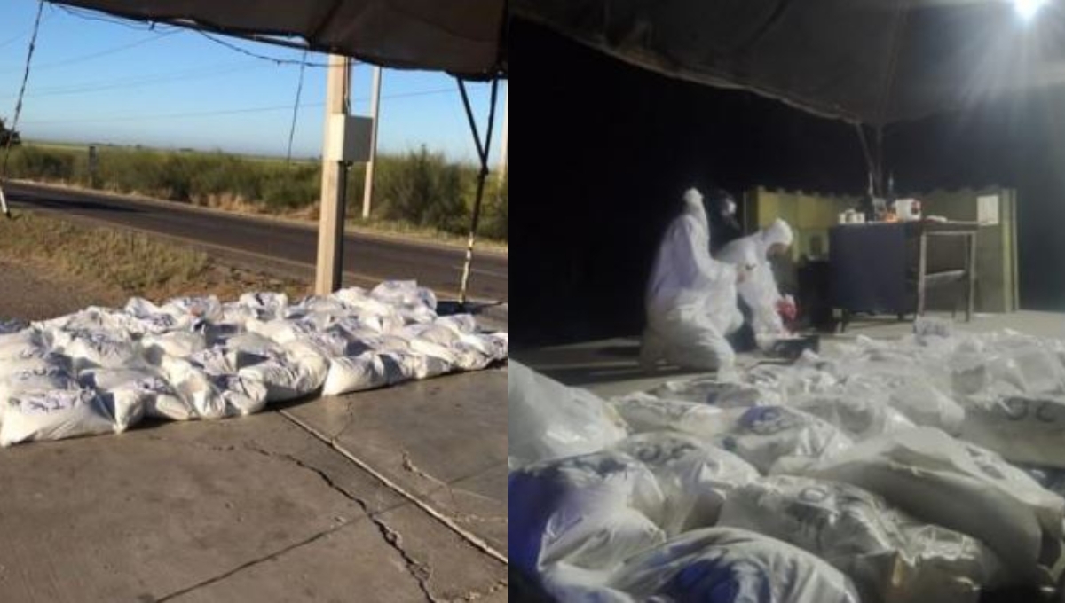 Los Cárteles de la droga en México tienen alianzas con empresas chinas Los Cárteles de la droga en México tienen alianzas con empresas chinas