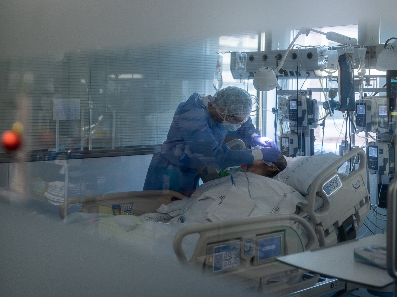 Botulismo la enfermedad que está azotando a Europa al menos 14 casos registrados Botulismo la enfermedad que está azotando a Europa al menos 14 casos registrados