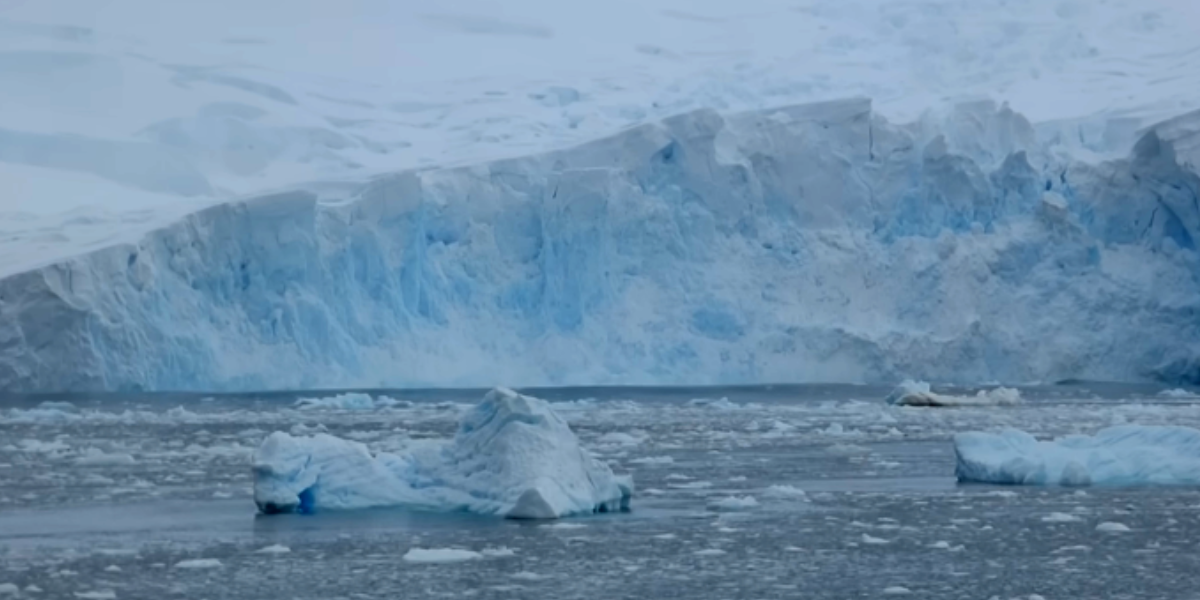 El gigantesco bloque de hielo es un peligro para la fauna. Foto: Especial El gigantesco bloque de hielo es un peligro para la fauna. Foto: Especial