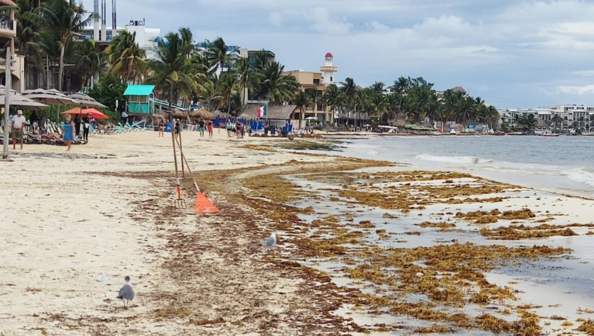 Las lluvias espantan a turistas