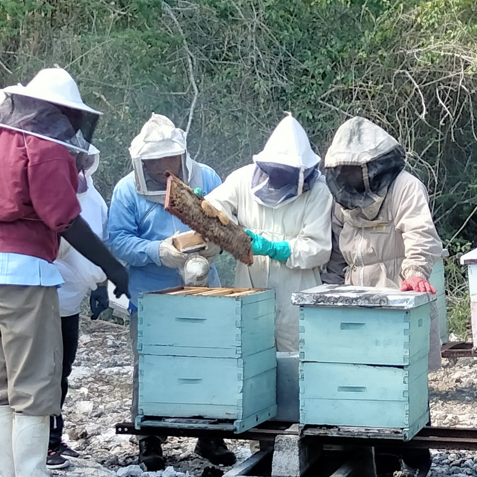 Los productores de miel dijeron que se ven en la necesidad de abandonar esta labor porque que cada día es menos redituable