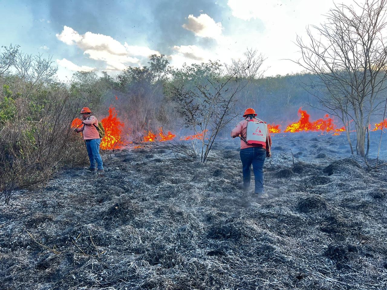 Por más de 12 horas las brigadas trataron de apagar el siniestro Por más de 12 horas las brigadas trataron de apagar el siniestro