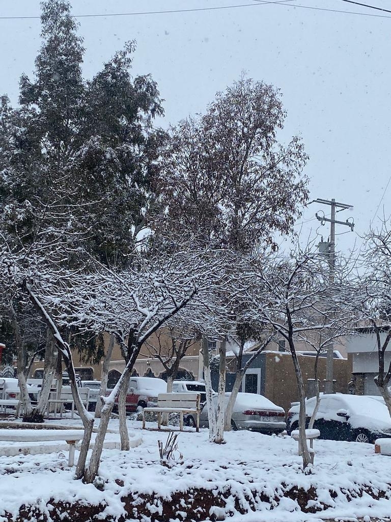 Se han reportado temperaturas de entre -4 y -2 grados centígrados en Sonora Se han reportado temperaturas de entre -4 y -2 grados centígrados en Sonora