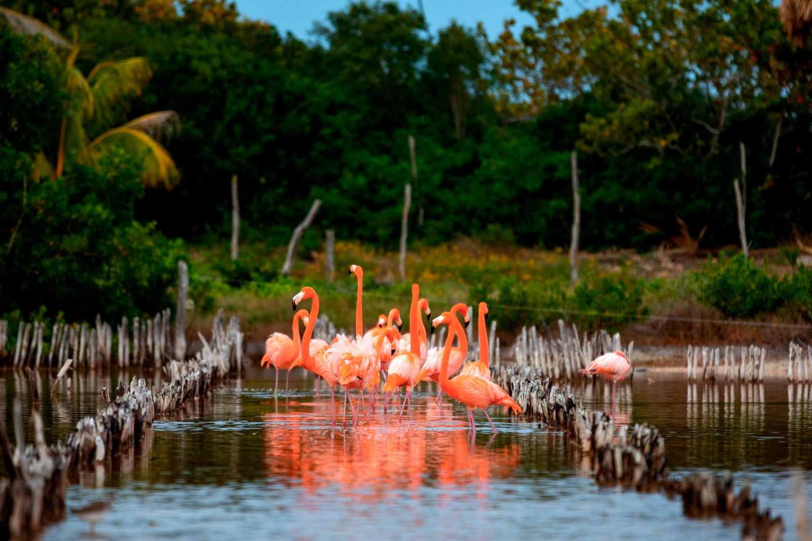 Muchos turistas llegan a Yucatán buscando hacer actividades en contacto con la naturaleza