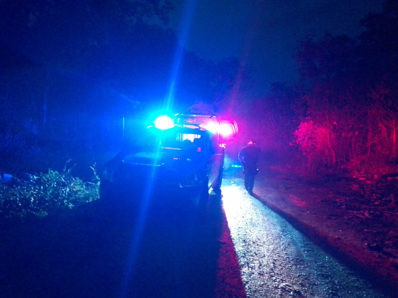 Fueron hallados por habitantes de la colonia irregular Generación 2000 en un área verde