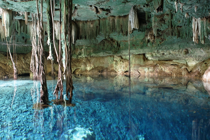 Cinco cenotes para visitar con menos de 100 pesos en Yucatán