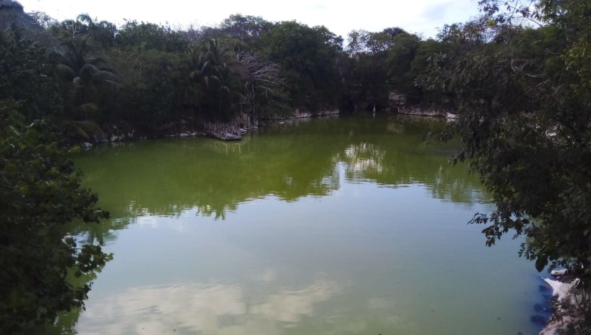 En 10 o 15 años Solidaridad va a estar en peligro de no tener agua