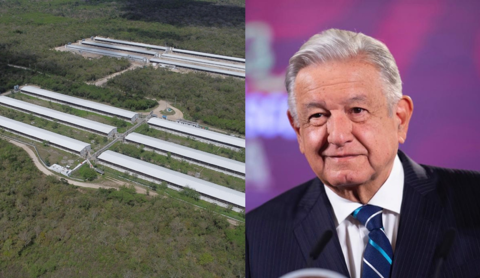 La Semarnat realizó un estudio sobre la contaminación de las granjas porcícolas