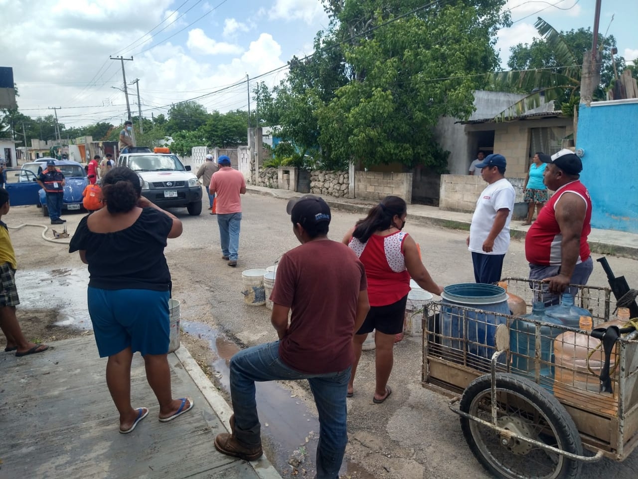 De acuerdo con estudios, los cenotes más contaminados se encuentran cerca de granjas porcícolas De acuerdo con estudios, los cenotes más contaminados se encuentran cerca de granjas porcícolas