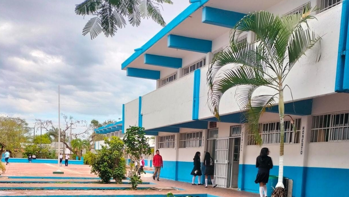 Confirman casos de bullying en escuelas de Cozumel