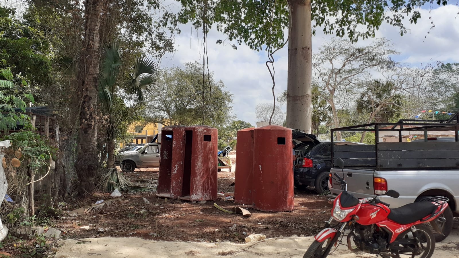 Un vecino de la colonia Dolores dijo que la víbora conocida como chaikan vive en el árbol de ceibo Un vecino de la colonia Dolores dijo que la víbora conocida como chaikan vive en el árbol de ceibo