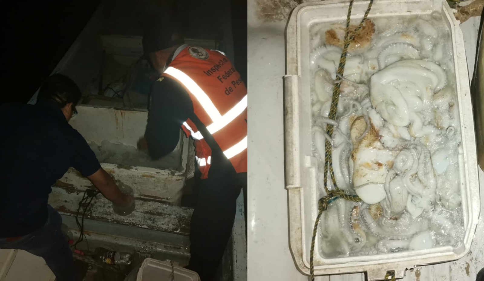 Pescadores temen que esta temporada de pulpo siga igual de baja que la de 2022