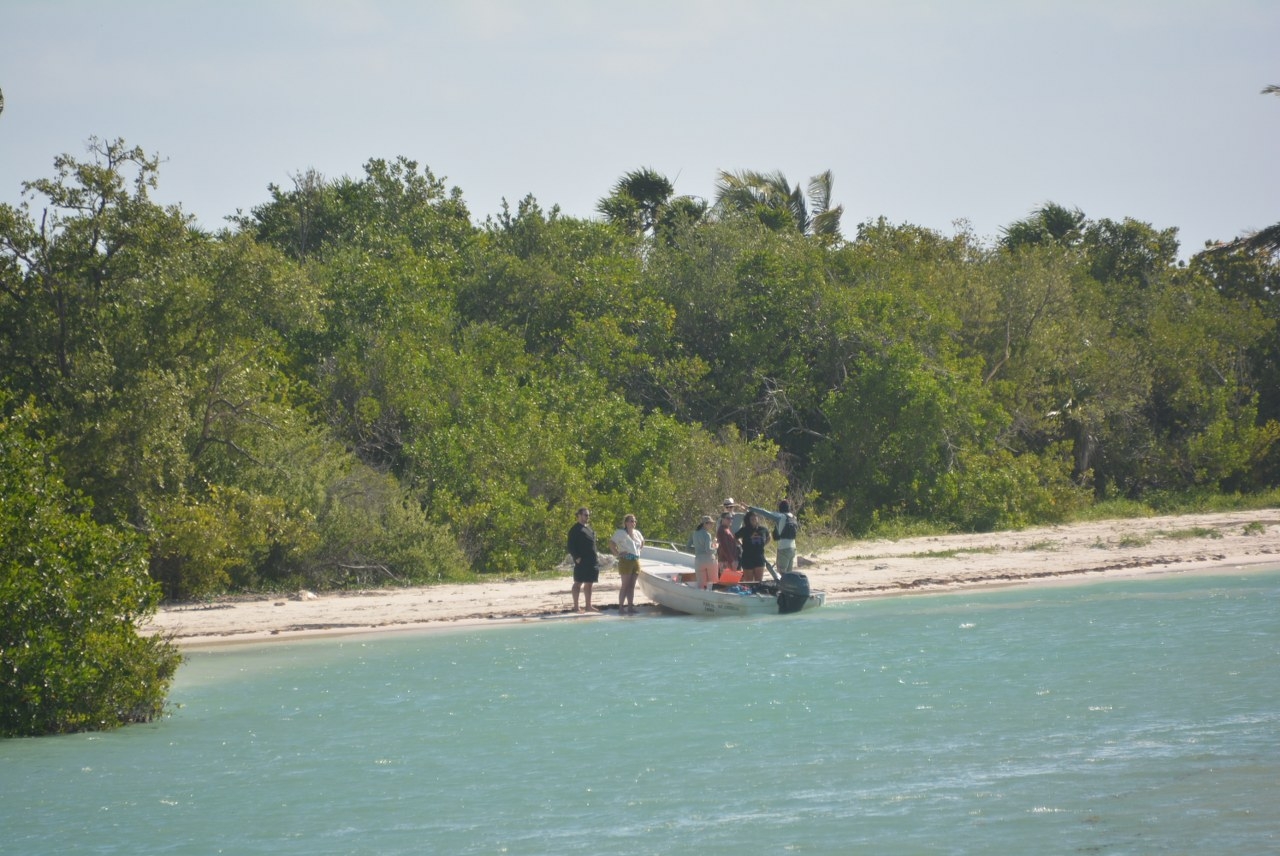 La Reserva de la Biosfera ha perdido en los últimos años una extensa franja costera por las diversas construcciones para albergar a cientos de turistas La Reserva de la Biosfera ha perdido en los últimos años una extensa franja costera por las diversas construcciones para albergar a cientos de turistas