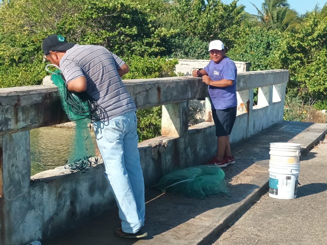Jorge Briceño mencionó que hay personas que capturan el pescado cuando está pequeño y no lo regresan de nuevo al agua