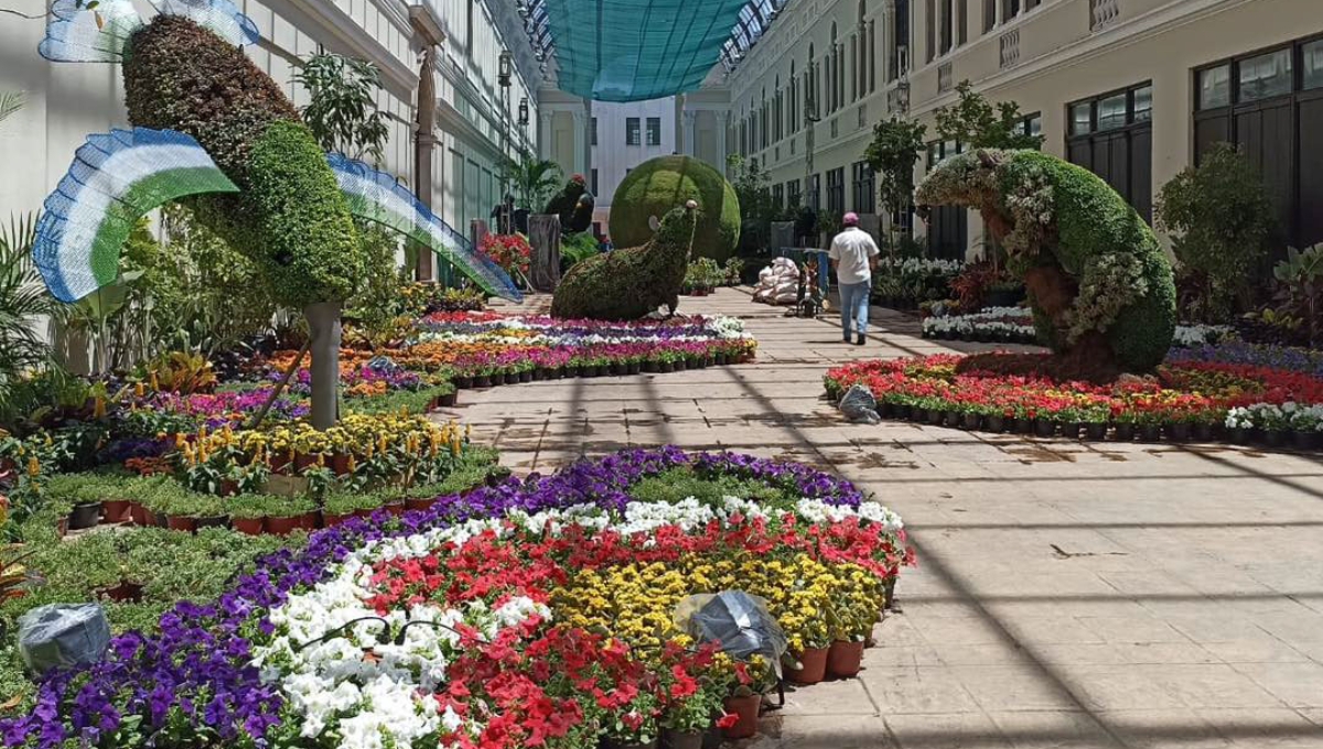 El Camino de las Flores de Mérida funcionará como un parador fotográfico en Semana Santa