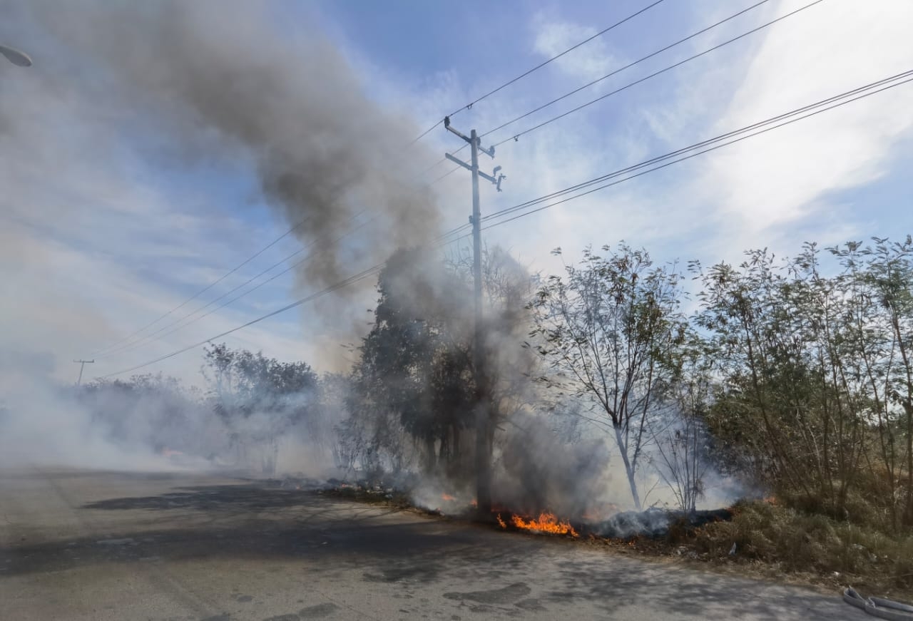 El fuego se encuentra controlado sin presentar graves daños