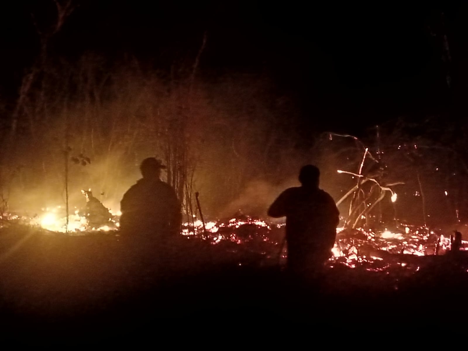 Las fogatas y las quemas son las principales causas de los incendios