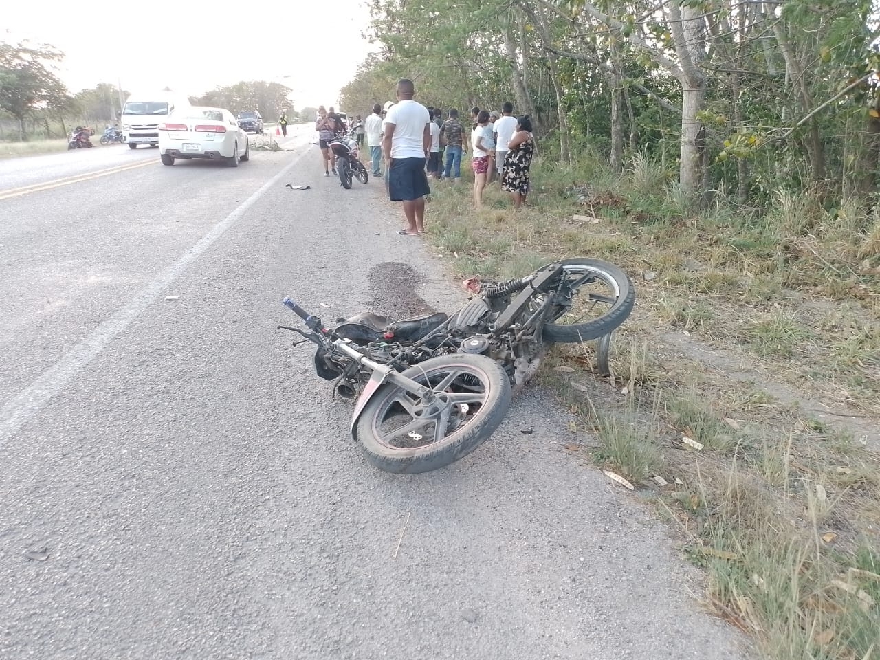La camioneta se salió de la carretera y se impactó contra un árbol La camioneta se salió de la carretera y se impactó contra un árbol