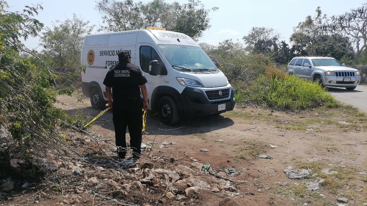 Las autoridades se encuentran realizando las averiguaciones pertinentes
