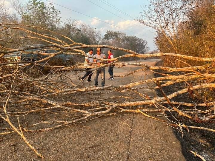 La carretera Dzitbalchén-Chencoh se encuentra obstaculizada por troncos La carretera Dzitbalchén-Chencoh se encuentra obstaculizada por troncos