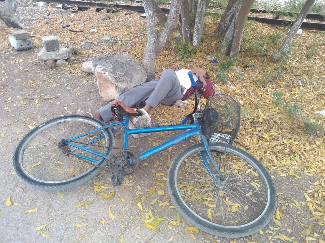 El abuelito quedó inconsciente luego de caer de su bicicleta El abuelito quedó inconsciente luego de caer de su bicicleta