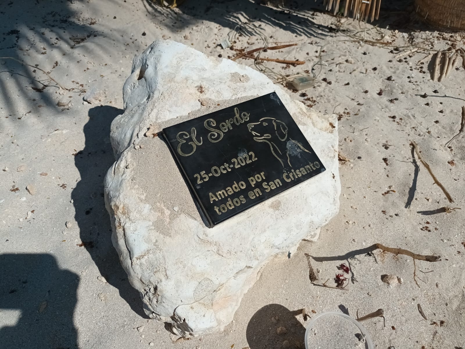 El canino, que padecía sordera, fue adoptado literalmente por la población y los visitantes de San Crisanto