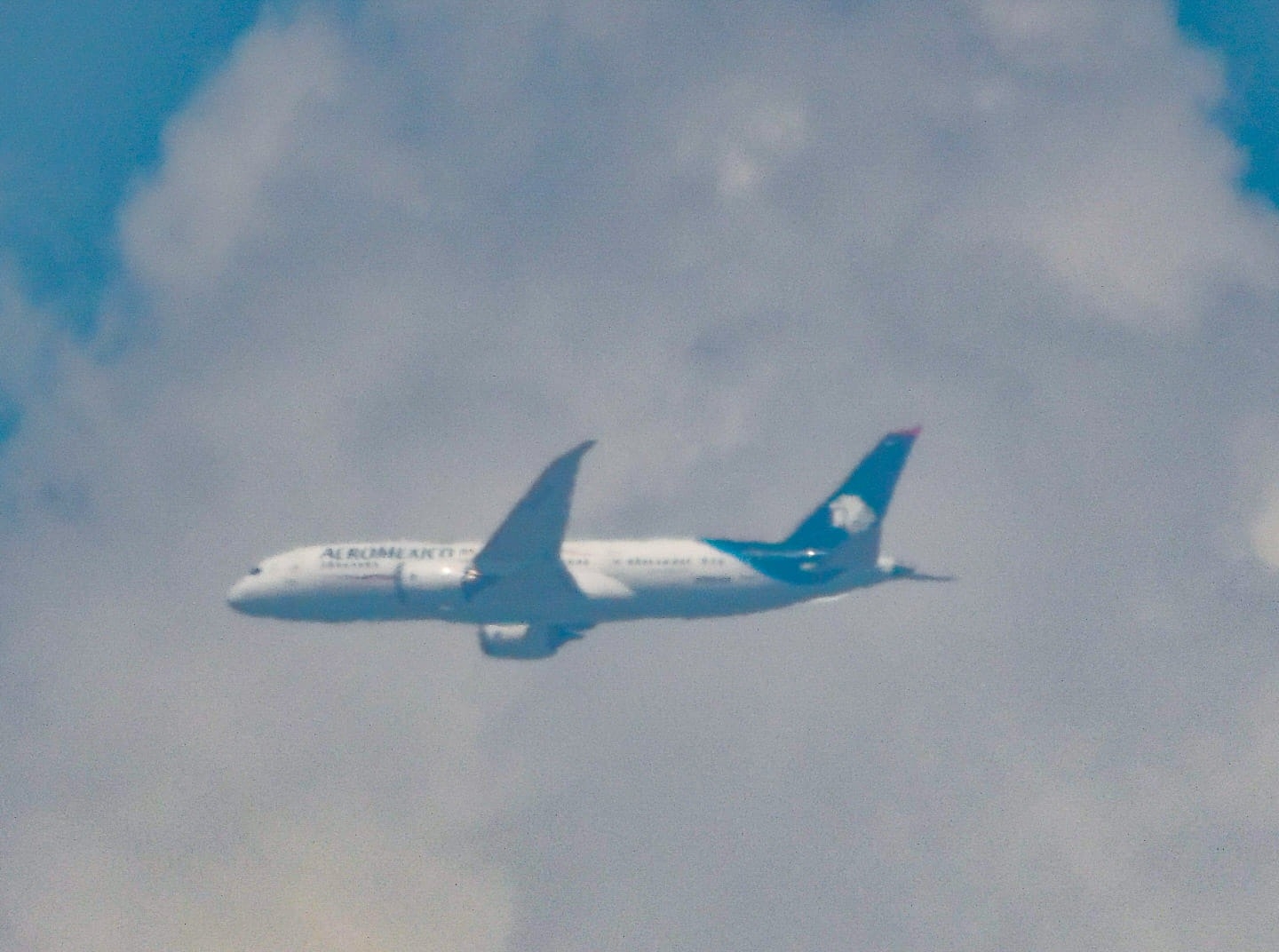 ¿Qué pasa si una mujer embarazada da a luz a bordo de un avión?