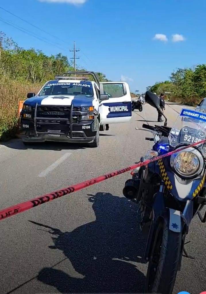 El cuerpo de la víctima fue trasladado a las instalaciones del Servicio Médico Forense (Semefo), dónde permanece en calidad de desconocido. El cuerpo de la víctima fue trasladado a las instalaciones del Servicio Médico Forense (Semefo), dónde permanece en calidad de desconocido.