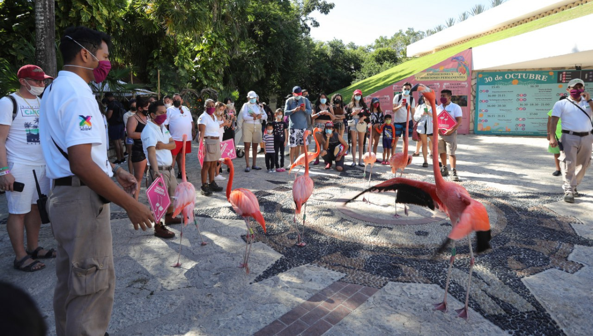 Entrar a un parque temático en Cancún cuesta 10 veces más que entrar a Disney