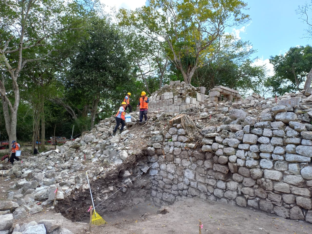 Podría ser un nuevo texto para ampliar el conocimiento de la cultura ancestral