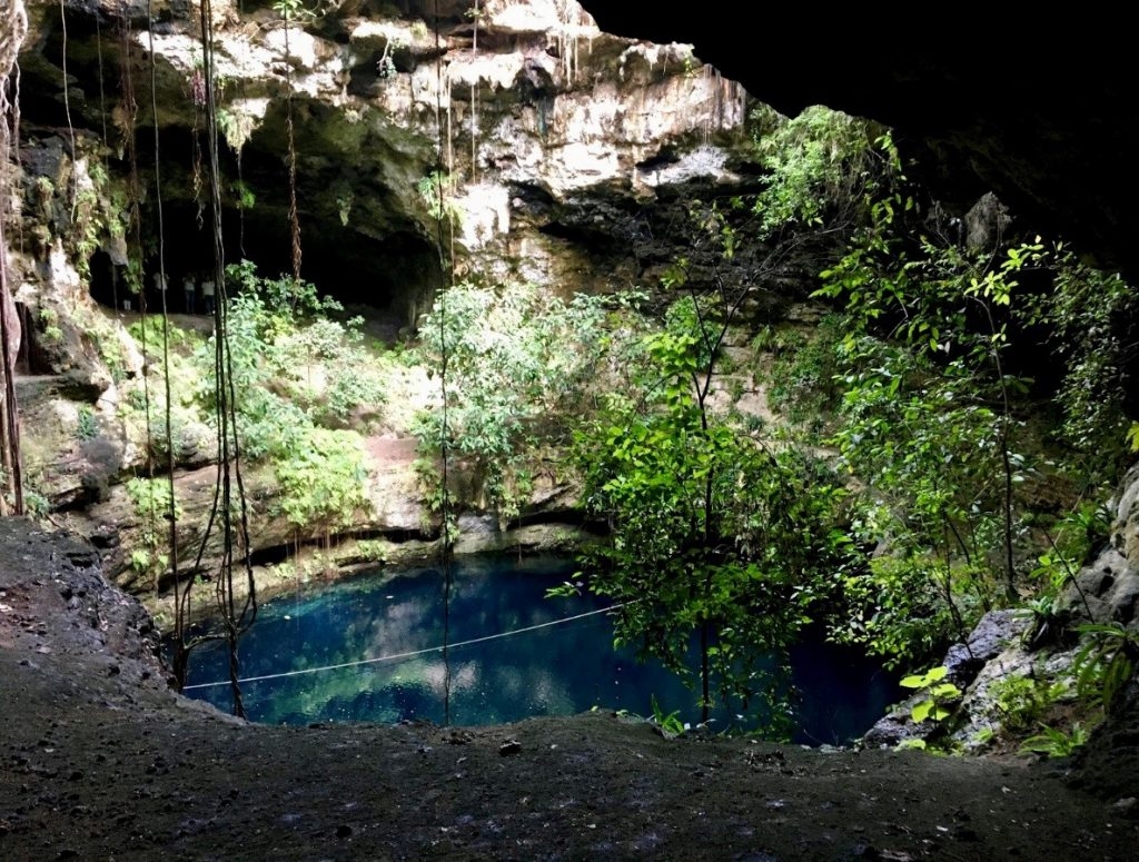 Así fue el rescate del perrito que cayó en un cenote de Tizimín