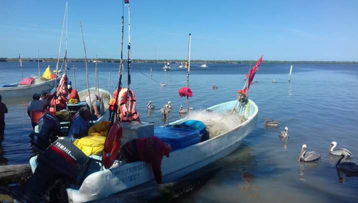 Son más de 750 pescadores los afectados por falta de dragado Son más de 750 pescadores los afectados por falta de dragado