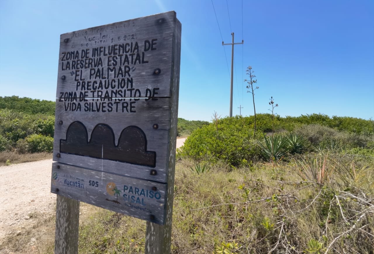 Varios parámetros de la medición de una organización académica muestran que en la zona donde está el complejo inmobiliario hay deterioro ecológico