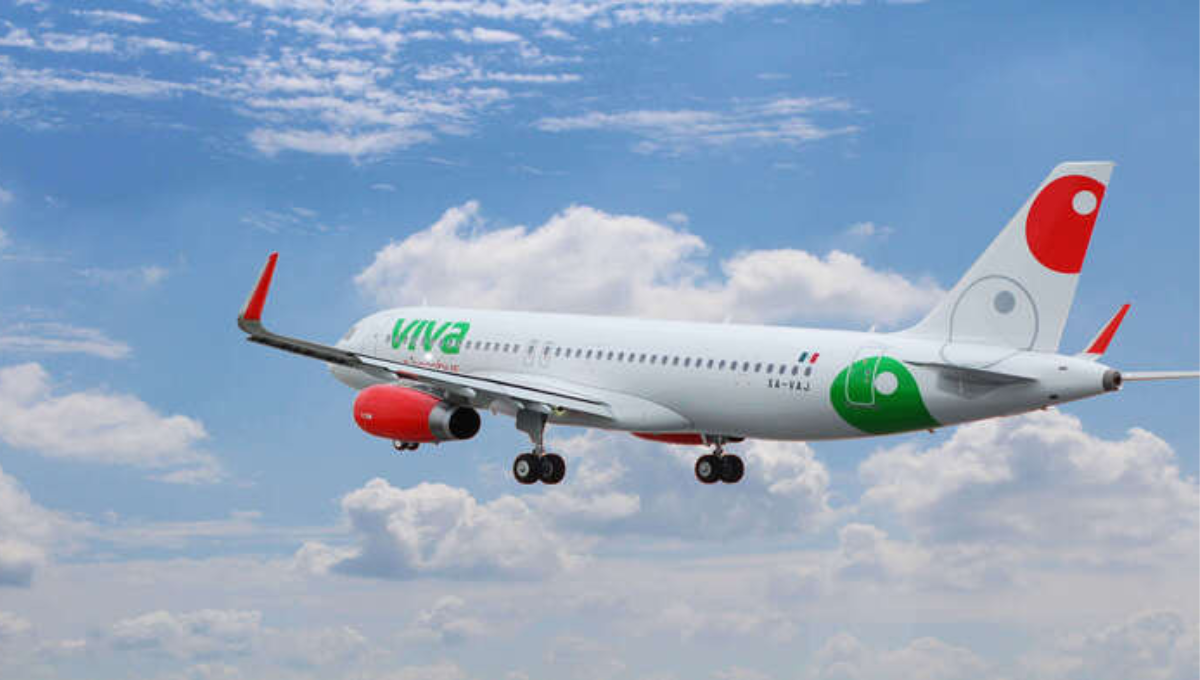 El capitán del avión tuvo que maniobrar para retomar el vuelo y no ocasionar una tragedia