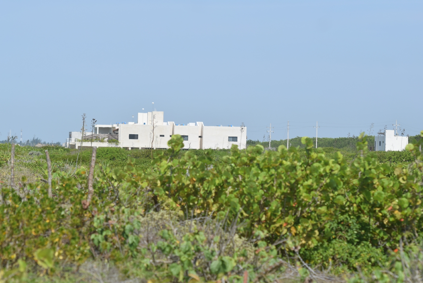La apropiación de las tierras como la que se dio en el complejo inmobiliario es un tema que “nos atañe a todos”, dicen las ONG